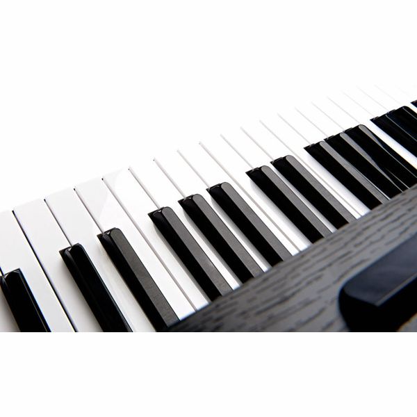Thomann DP-95 B