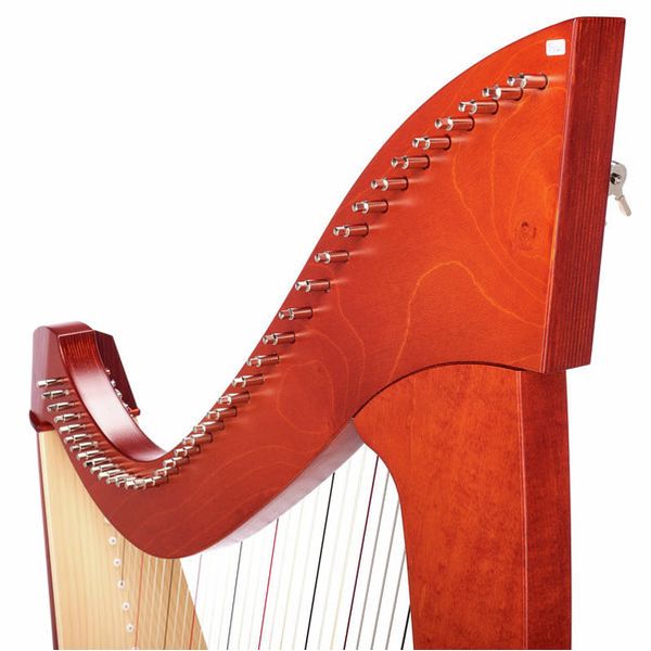 Salvi Titan Cherry Gut Strings